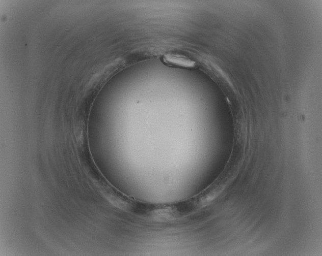 X0000076390505200610202108