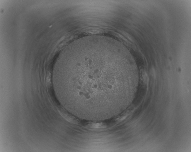 X0000076390507200610202108