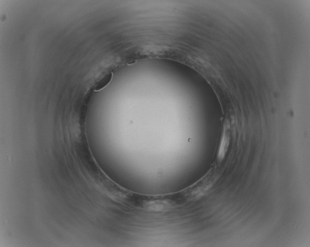 X0000076390508200610202108