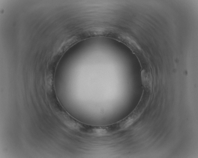 X0000076390509200610202108