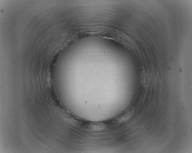 X0000076390510200610202108