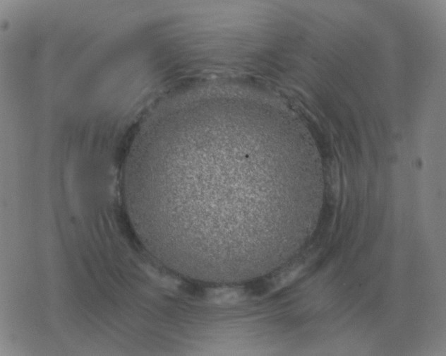 X0000076390511200610202108