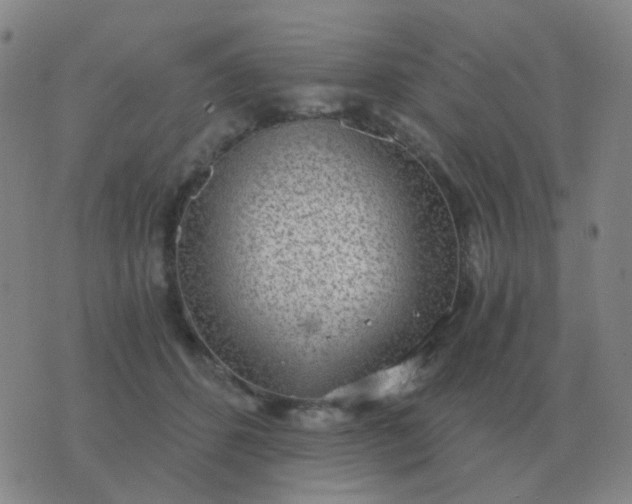 X0000076390512200610202107