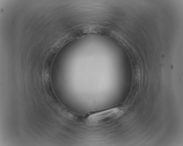 X0000076390513200610202107