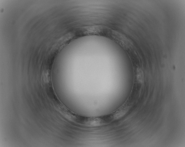 X0000076390514200610202107