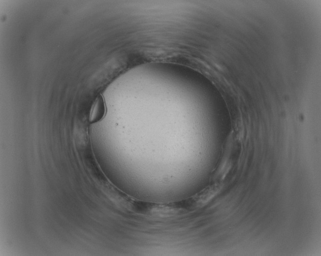 X0000076390515200610202107