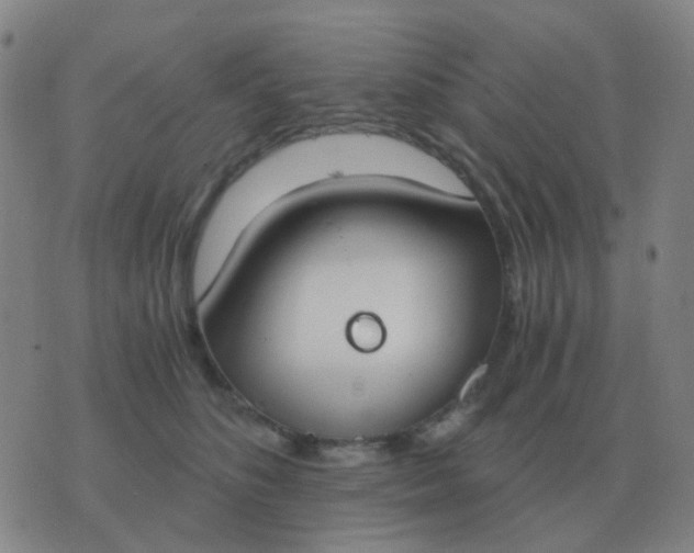 X0000076390516200610202107