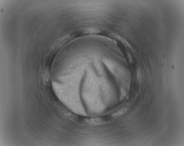 X0000076390517200610202107