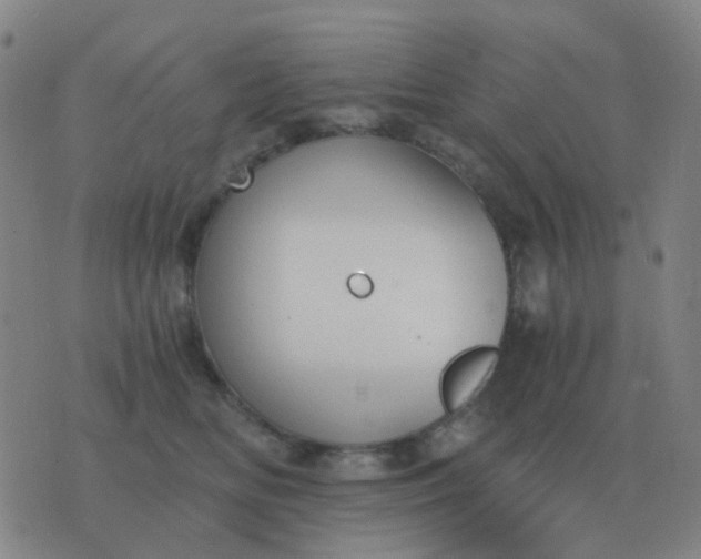 X0000076390518200610202107