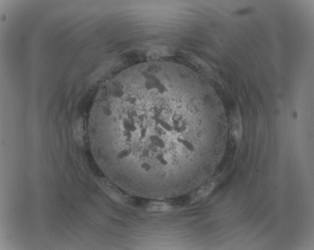 X0000076390519200610202107