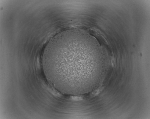 X0000076390520200610202107