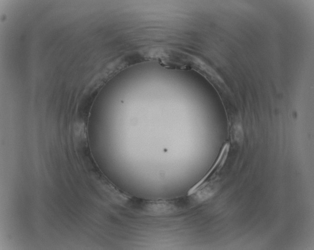 X0000076390521200610202107