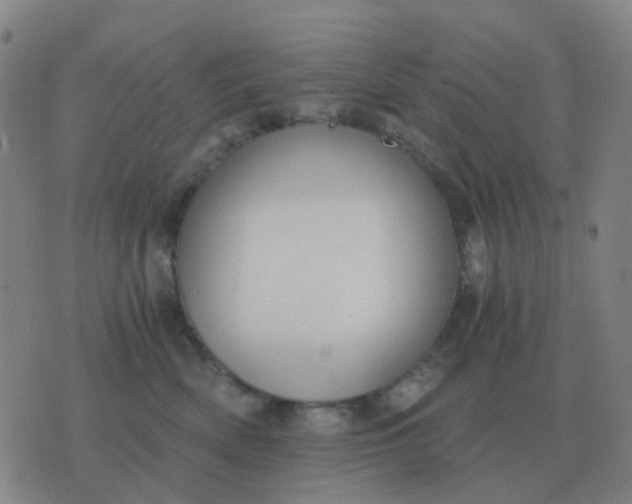 X0000076390522200610202107