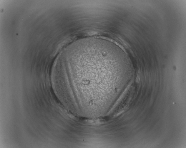 X0000076390524200610202107