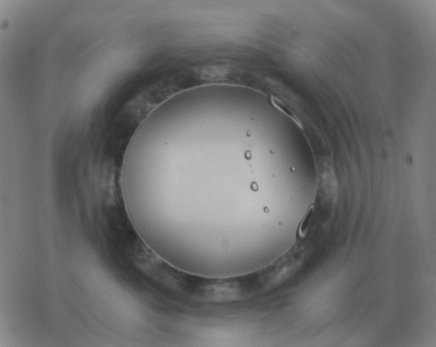 X0000076390525200610202107