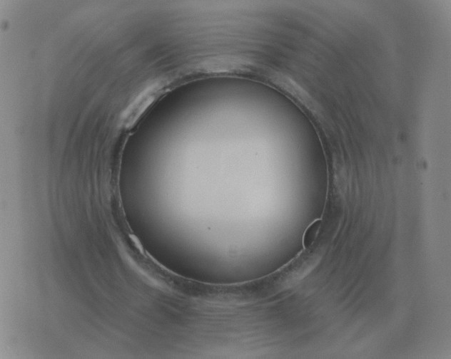 X0000076390530200610202106