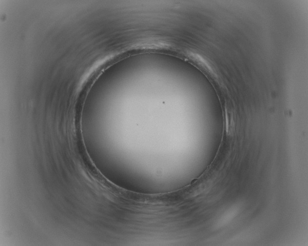 X0000076390531200610202106