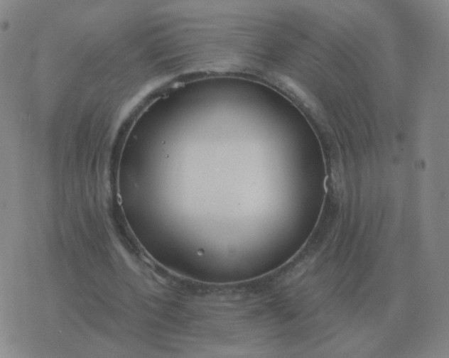 X0000076390532200610202107