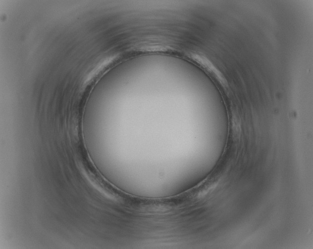 X0000076390533200610202107