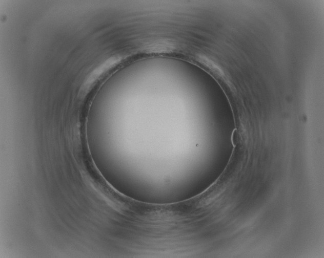 X0000076390535200610202107