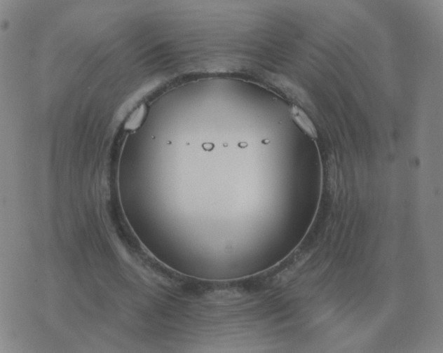 X0000076390536200610202107