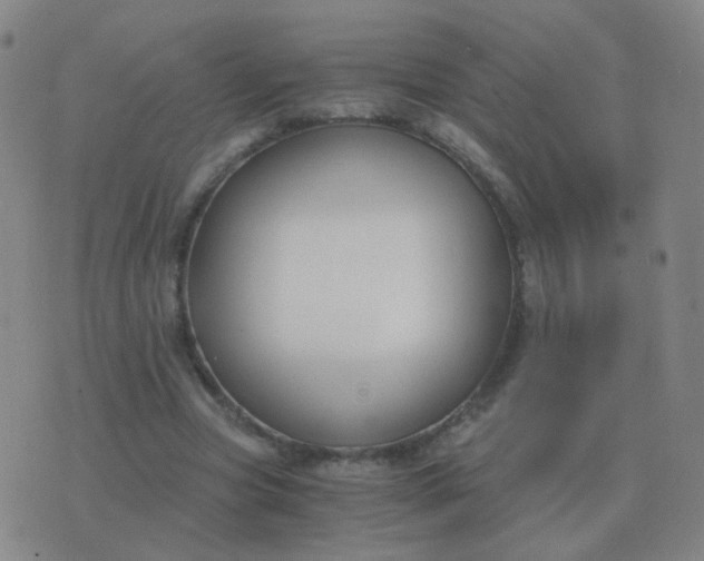 X0000076390537200610202107