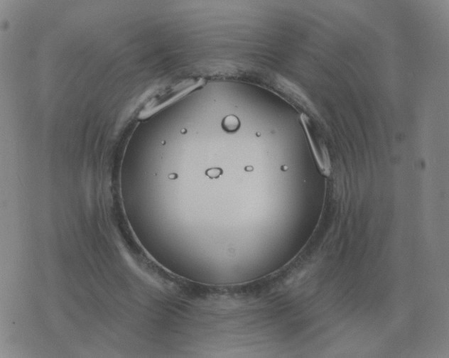 X0000076390538200610202107