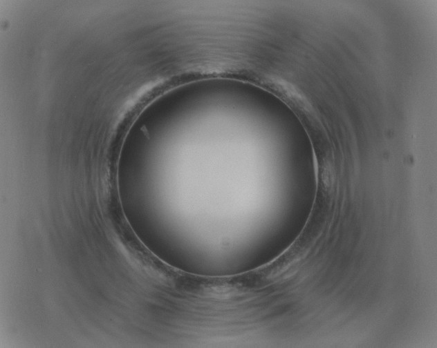 X0000076390540200610202107