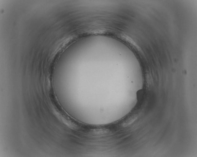 X0000076390541200610202107