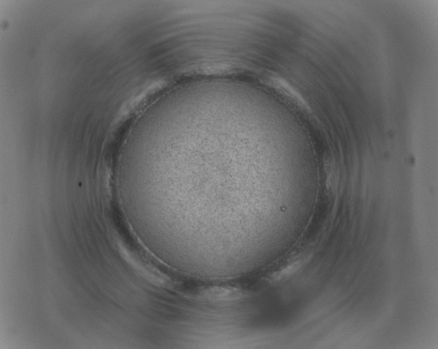 X0000076390542200610202107