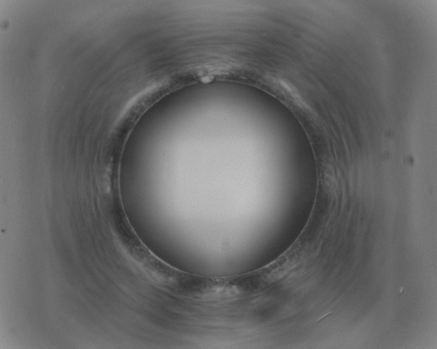 X0000076390543200610202107