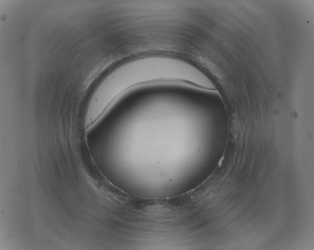 X0000076390544200610202107