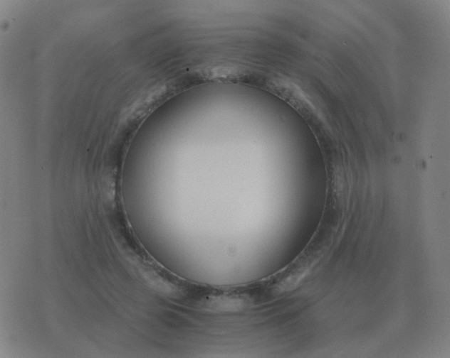 X0000076390545200610202107