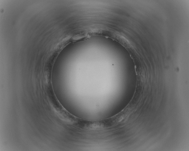 X0000076390546200610202107