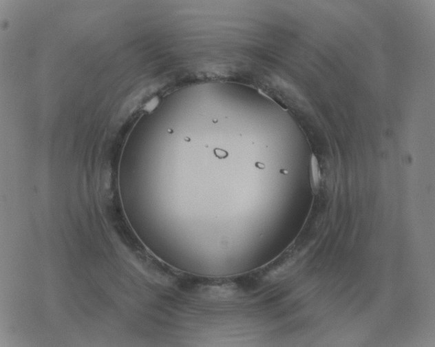 X0000076390548200610202107