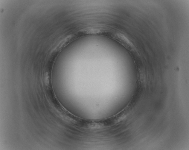 X0000076390549200610202107