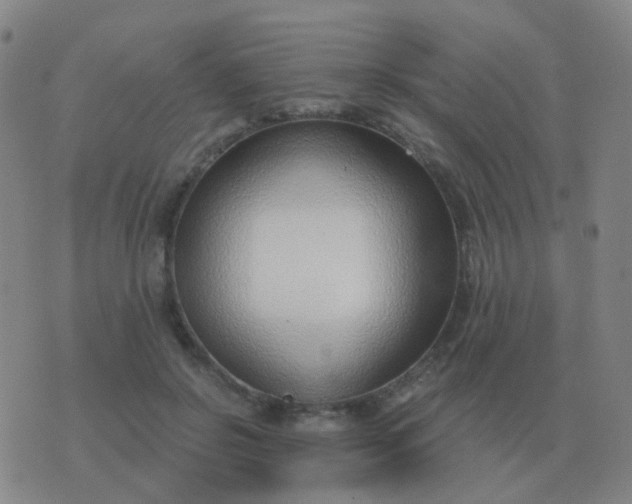 X0000076390550200610202107