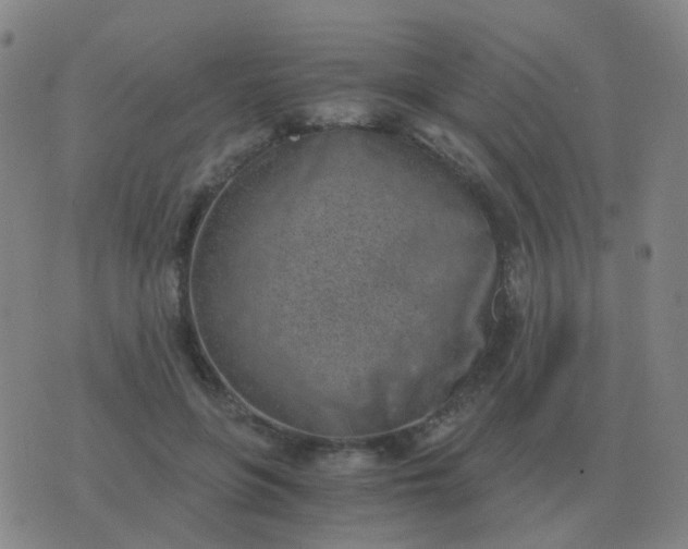 X0000076390551200610202107