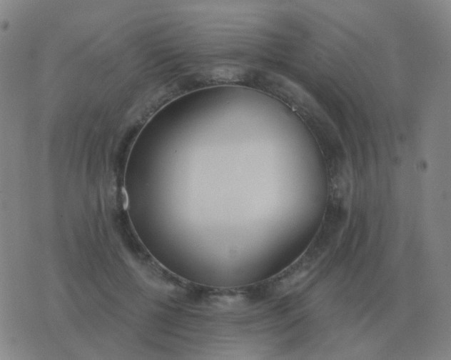 X0000076390552200610202107