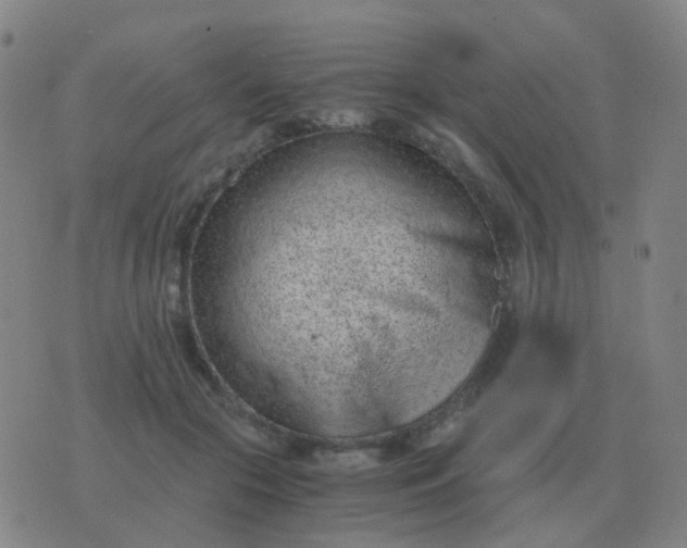 X0000076390553200610202107