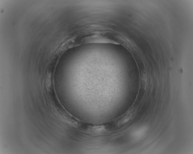 X0000076390554200610202107