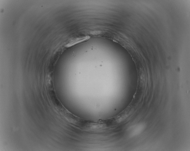 X0000076390555200610202107