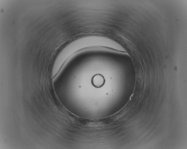 X0000076390556200610202107