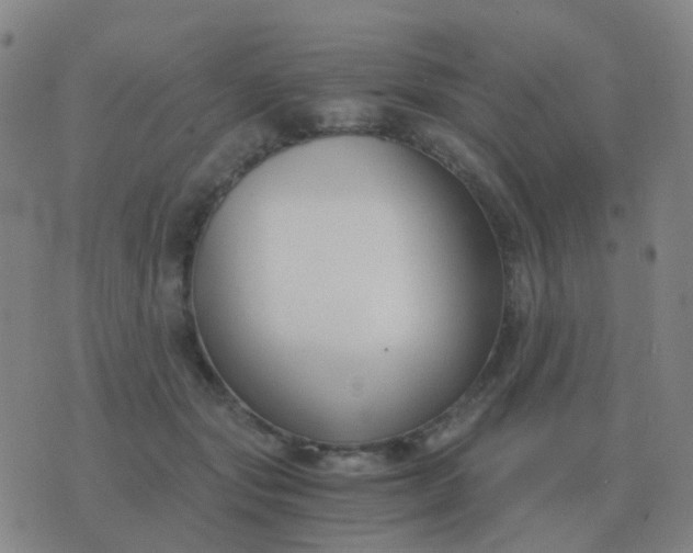 X0000076390557200610202107