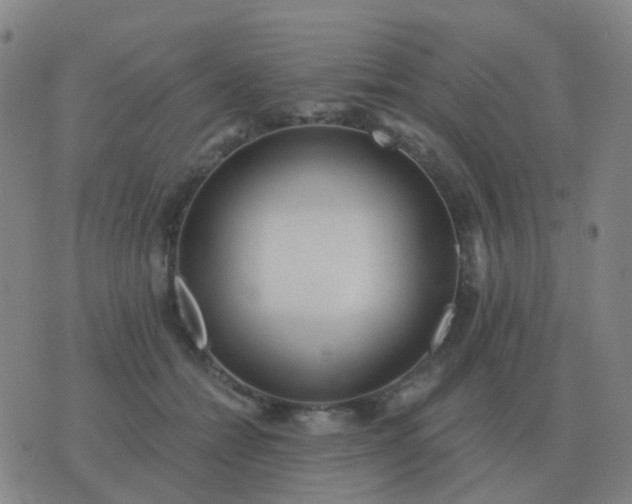 X0000076390558200610202107