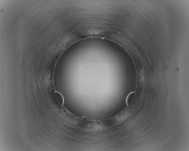 X0000076390559200610202107