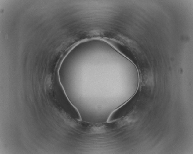 X0000076390560200610202107