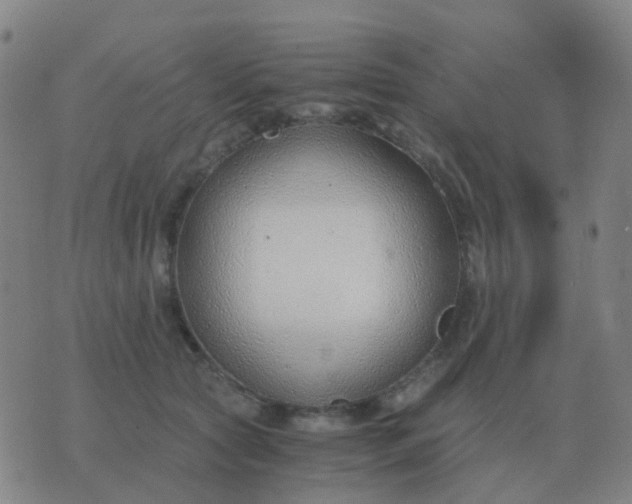 X0000076390561200610202107