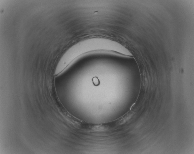 X0000076390562200610202107