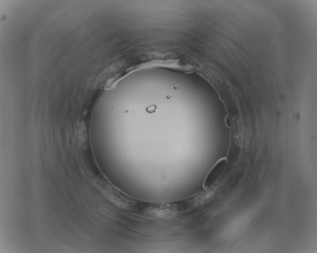 X0000076390563200610202107